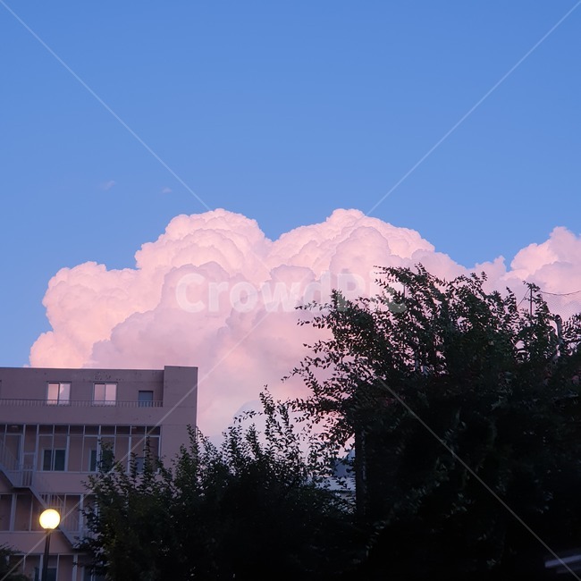 weather,날씨,nature,자연,cloud,구름,outdoors,옥외,sky,하늘,cumulus,적운,핑크,pink,노을