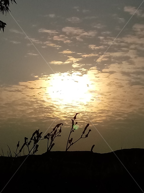하늘,구름,태양,아침햇살,자연,nature,cloud,sky,sunlight,햇빛,자연,풍경,nature,landscape,flare,플레어,light,빛,plant,식물,grass,잔디
