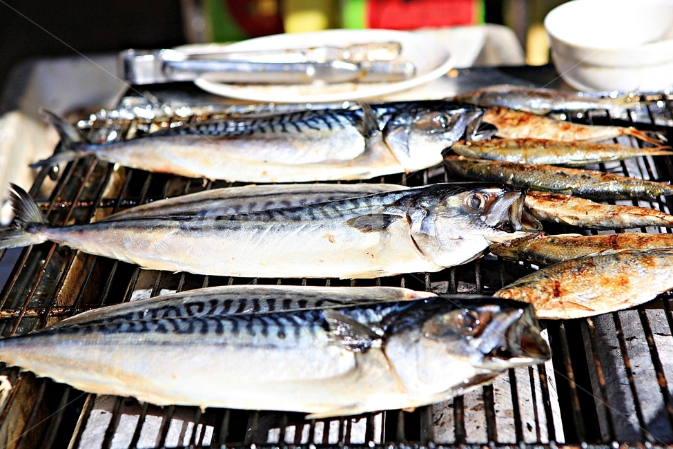 생선구이,생선,먹거리,배경,음식,음식,식재료,요리,food,cook,meal,dishes,food reserves,수산물,해산물,fishery products,seafood