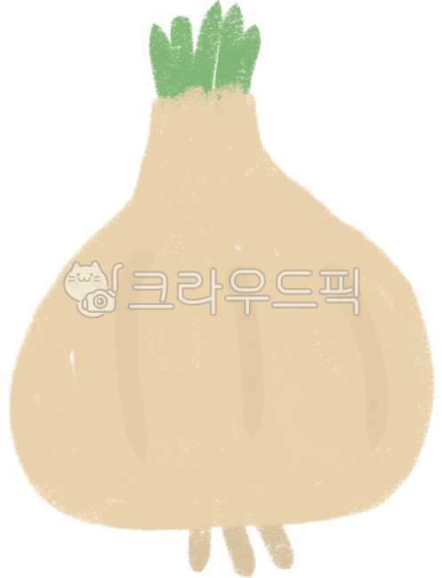 Illustration,hand drawing,vegetable drawing,vegetable drawing,vegetable illustration,onion