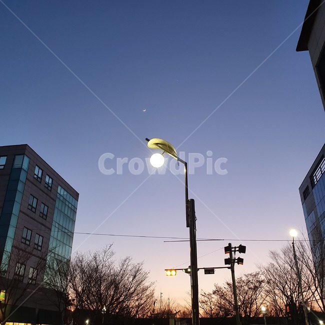 하늘,lamppost,가로등,sky,저녁,저녁하늘
