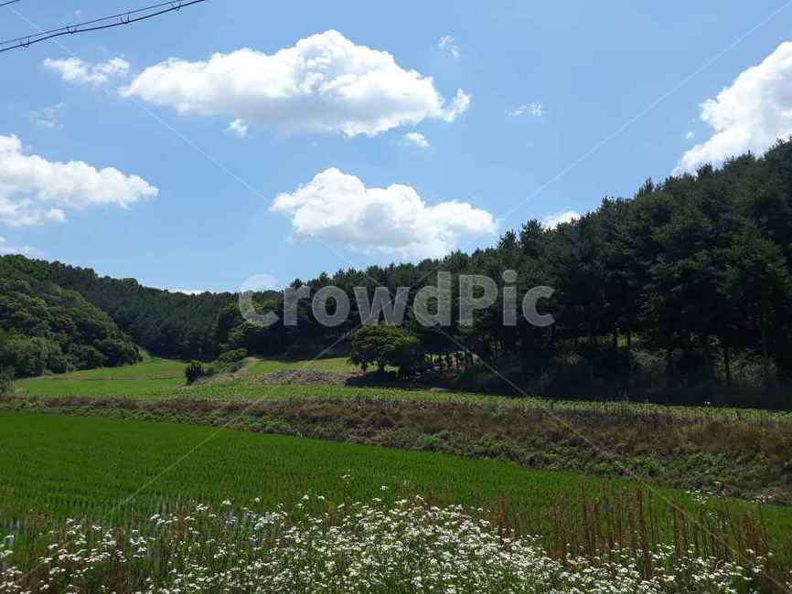 목초지,들,field,구름,풍경,자연,푸른산,nature