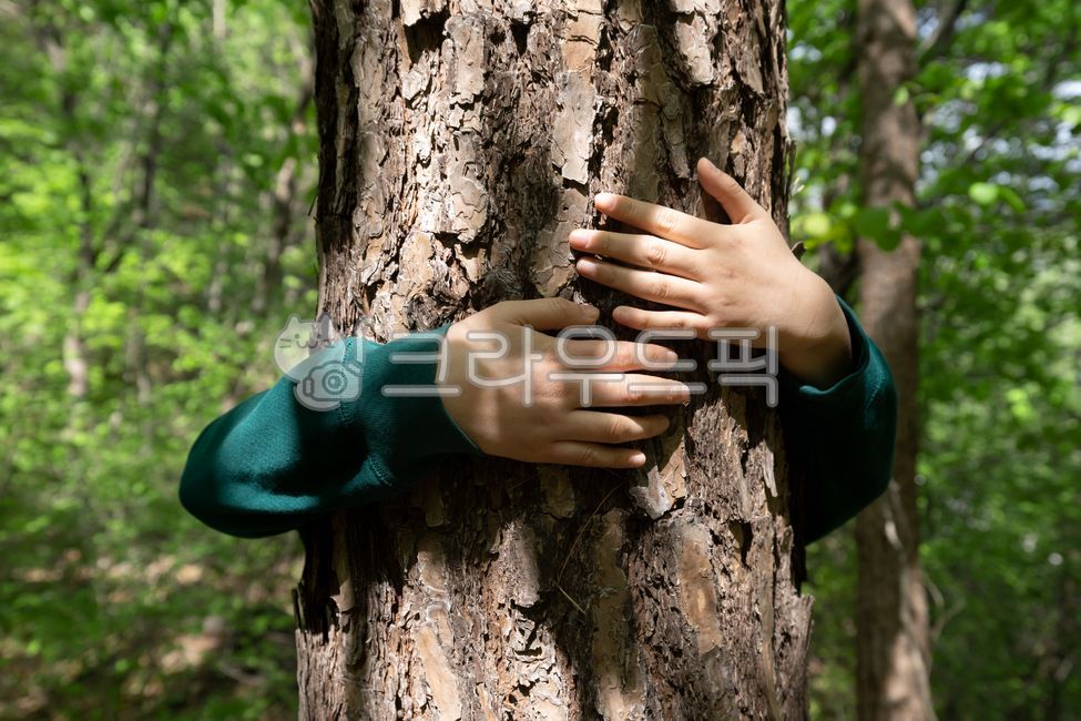 forest,hands,communion,Summer,protection,body,healing,forest path,walking,plants,embracing,hugging,Trees,rest,Surround,touching,nature,People,health,forest bathing,sustainability,environmental protection,Park,outdoors,Leisure,Environment,arms,Green