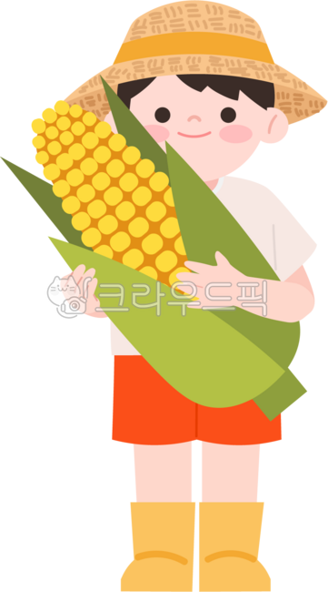 Children,elementary school students,elementary school children,straw hat,short sleeves,summer,vegetable gardening,farming experience,farmer experience,corn,corn harvest,crops,boy