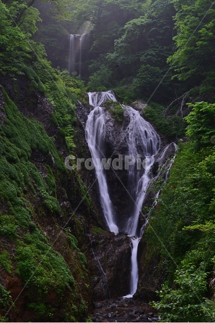 nature,자연,outdoors,옥외,water,물,waterfall,폭포,울릉도,봉래폭포,이끼계곡,경치,경관,비경,풍경
