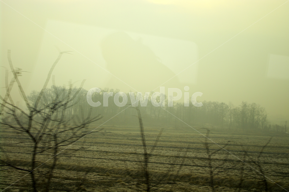 풍경,겨울,창밖,하늘,나무,자연,풍경,nature,landscape,weather,날씨,outdoors,옥외,fog,안개,mist