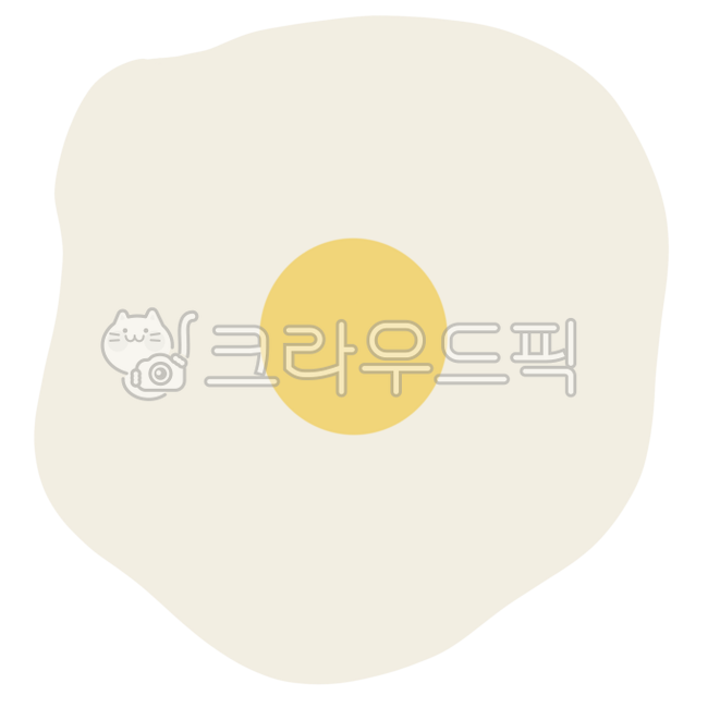 달걀,계란후라이,계란,달걀요리,요리