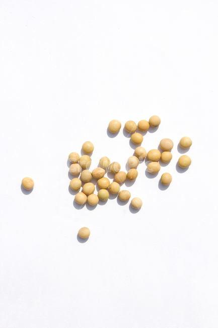 식재료,vegetable,갈색,브라운,곡류,곡식,음식,흰배경,모아놓은,모으기,농작물,음식재료,콩류,모아둔,자연,메주콩,soybean,soy,bean,식물,열매,많은,다수,콩,탑,탑뷰,탑앵글,음식,식재료,요리,food,cook,meal,dishes,food reserves