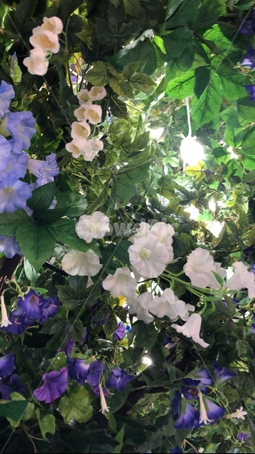 신비한,몽환적,숲속,인테리어,꽃,향기,꽃향기