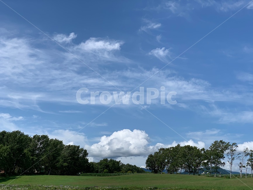 구름,하늘,weather,날씨,nature,자연,잔디,outdoors,나무