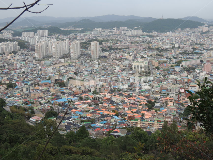 목포,유달산,산,정상,마을,풍경,배경화면,시선,아래,위,등산,자연,건물,동네,산자락,아파트,집