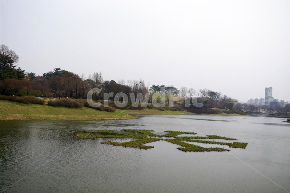 나무,공원,식물,plant,호수,봄,spring,계절,자연,풍경,nature,landscape,outdoors,옥외,land,땅,water,물