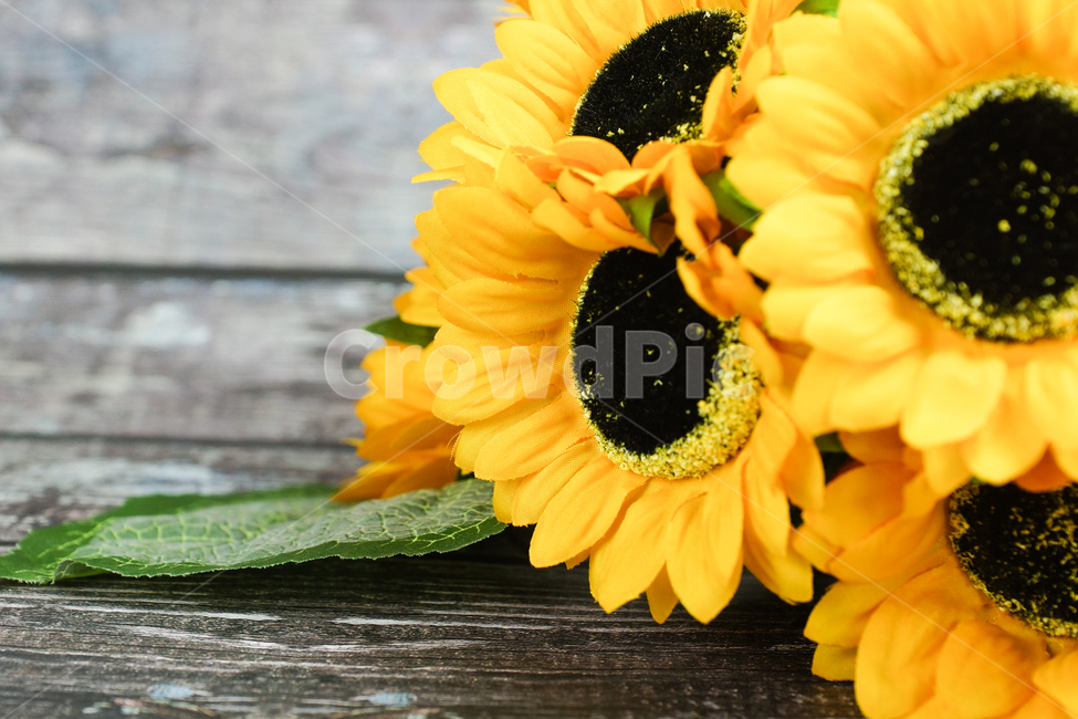 꽃,해바라기,풀,꽃다발,노랑색,식물,자연,plants,nature,꽃,flower