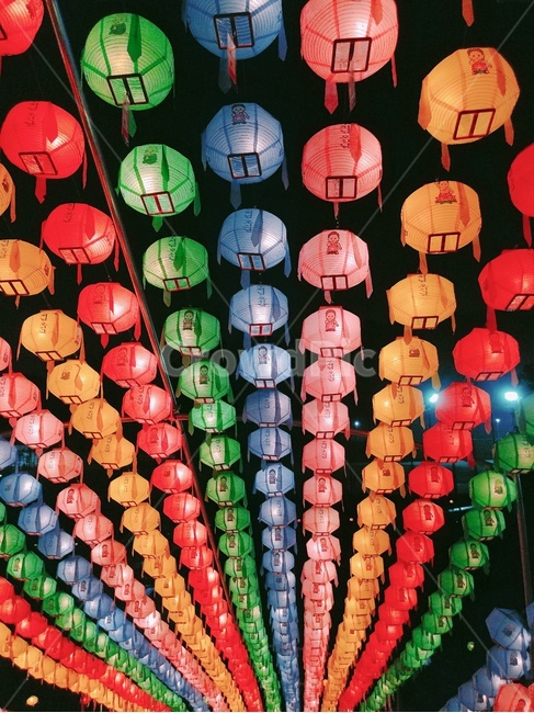 연등,연등축제,불교,불교축제,lamp,festival,lantern,램프,동국대,동국대학교,연꽃,연꽃등
