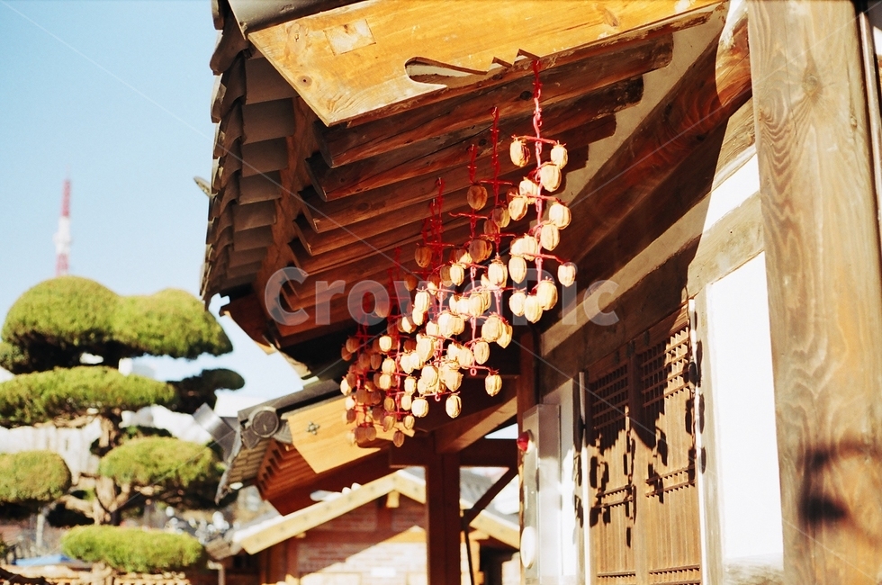 처마,곶감,하늘,지붕,집,한국전통,한국문화,korean traditional,korean culture