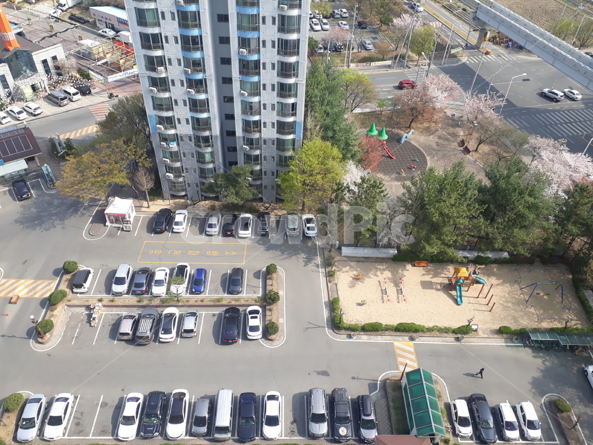 자동차,놀이터,전망,아파트,벚꽃,도로,나무,옥상,봄,땅,주차장,cherryblossom,tree,spring,ground,road,scenery,view,flower,apartment,car,cars,parkinglot,시소,미끄럼틀,그네,seesaw,swing,aslide,bench,벤치