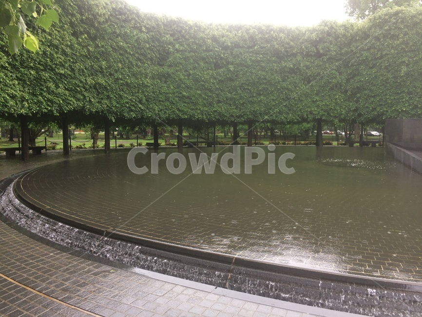 rain,비,풍경,공원,park,자연,풍경,nature,landscape,비,비오는날,rain,rainy,outdoors,옥외