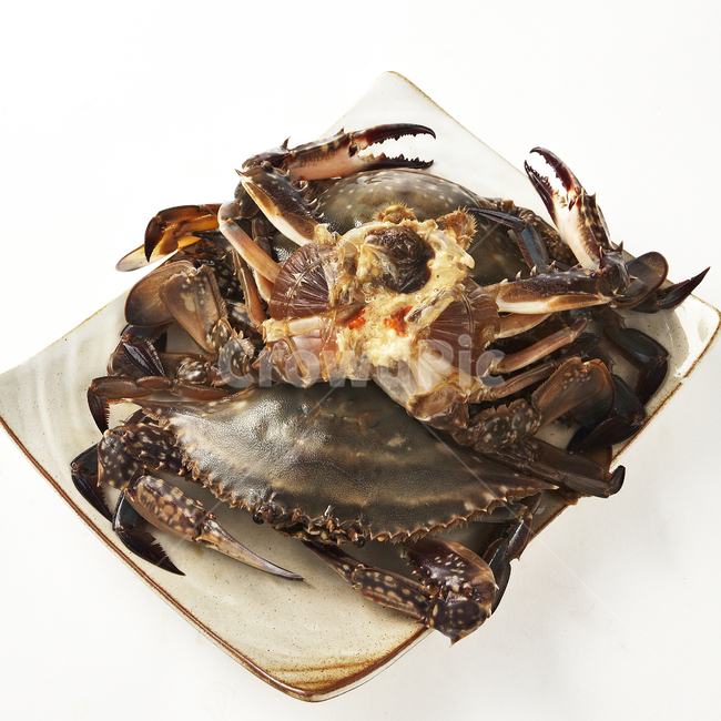 게장,간장게장,젓갈,한식,반찬,food,식품,koreanfood,밥,rice,집밥,음식,밥도둑,크랩,crab,간장,soysauce,recipe,레시피,꽃게,요리,음식,식재료,요리,food,cook,meal,dishes,food reserves