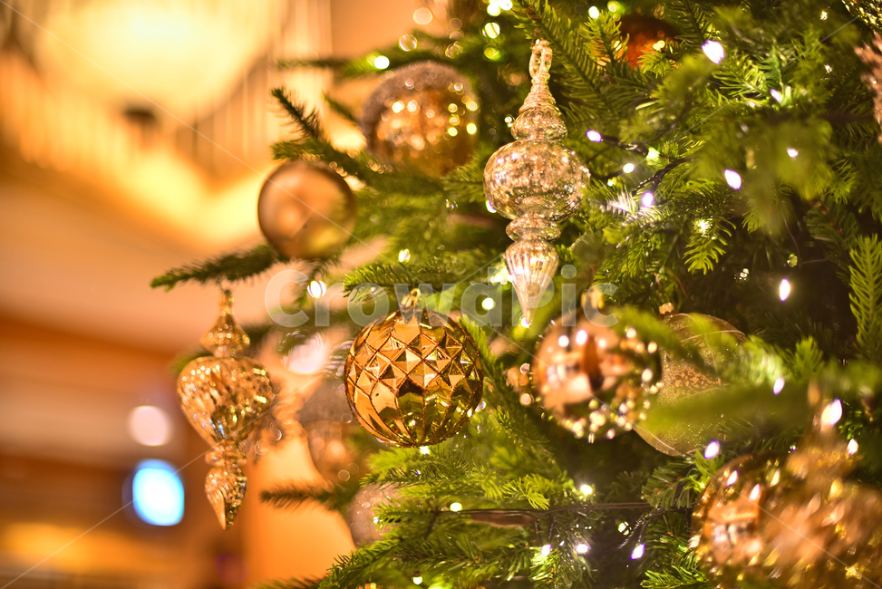 크리스마스,성탄트리,년말장식,성탄절,christmas,xmas,decoration,tree,ball,성탄볼,보케,빛망울,화려한,칼라풀,조명,불빛,라이트,색감,colorful,light,bokeh,배경,바탕,백그라운드,background,나무,장식,christmastree,크리스마스트리,plant,식물,메리크리스마스,성탄절,merry christmas,사물,물건,오브젝트,thing,object,matter