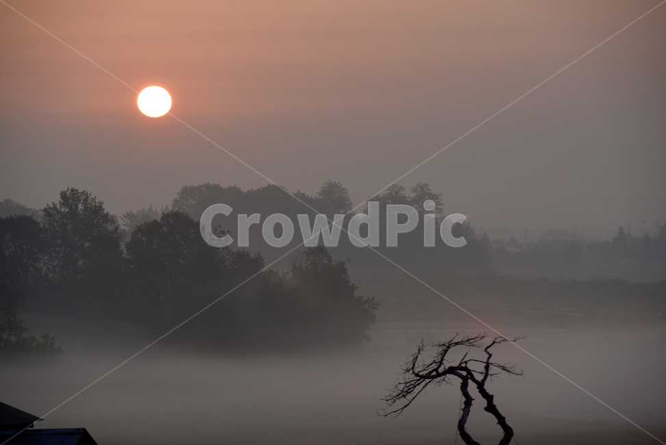 해,태양,일출,동틀녁,안개,물안개,sun,sunrise,fog,자연,풍경,nature,landscape,outdoors,옥외