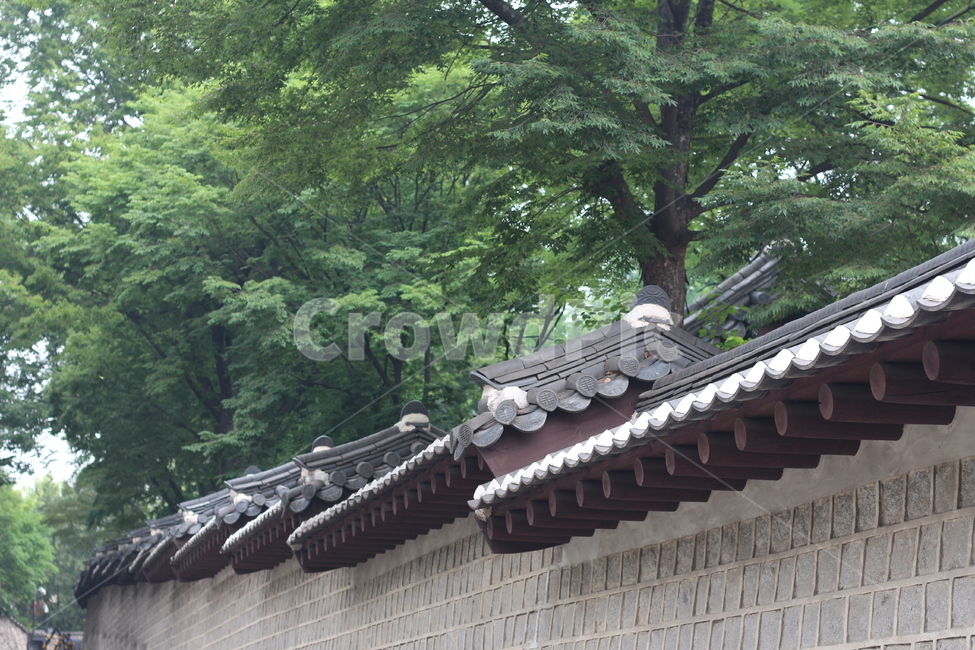 고궁,궁궐,전통건축,단청,한국의멋,한국전통,한국문화,korean traditional,korean culture,건축물,건물외관,exterior,building,structure,architecture,construction