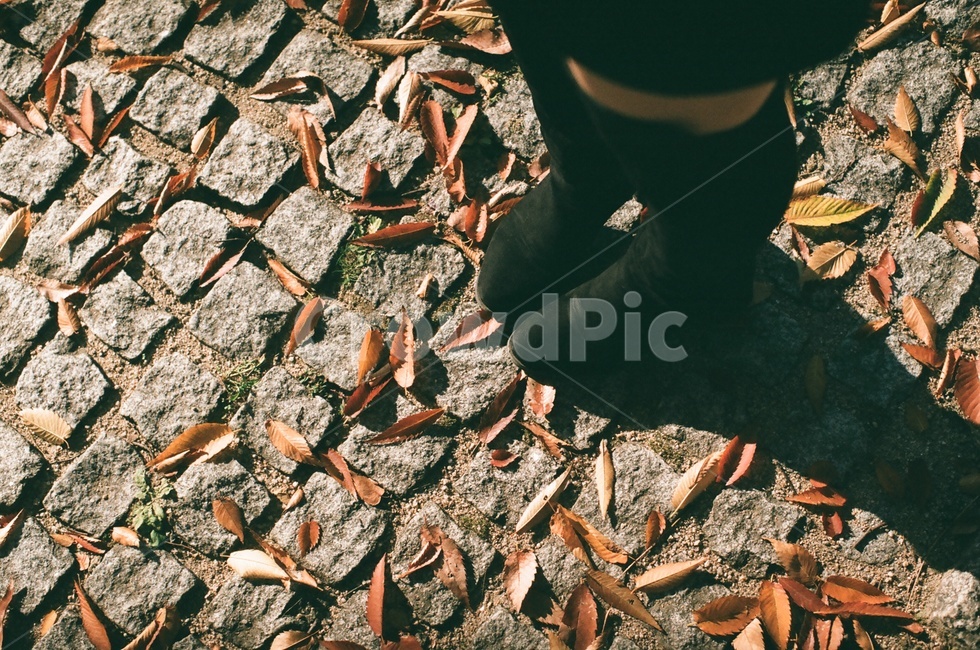 낙엽,leaves,가을,계절,단풍,부츠,인물,신발,fall,autumn,계절감,감성,emotion,가을,계절,fall,autumn,season,사람,인물,인간,human,person,신체일부,몸,body,감성,sensible,feeling