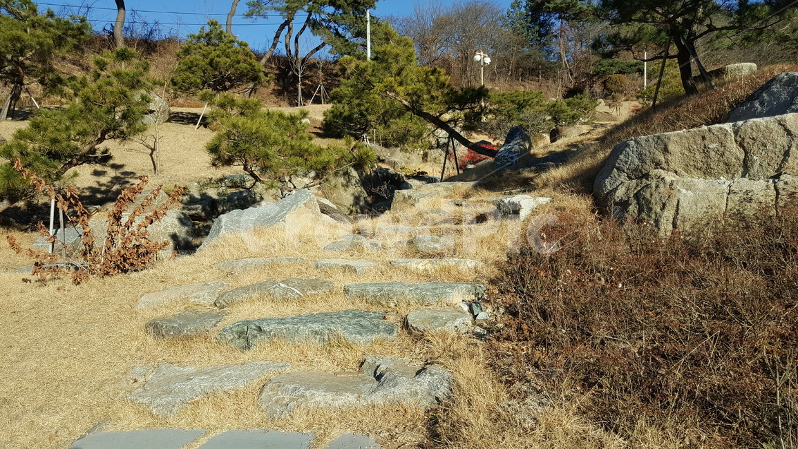 공원,자연,풍경,산,조경,나무,식물,경치,자연,풍경,nature,landscape,gravel,자갈,road,도로,dirt road,흙길,ground,바닥