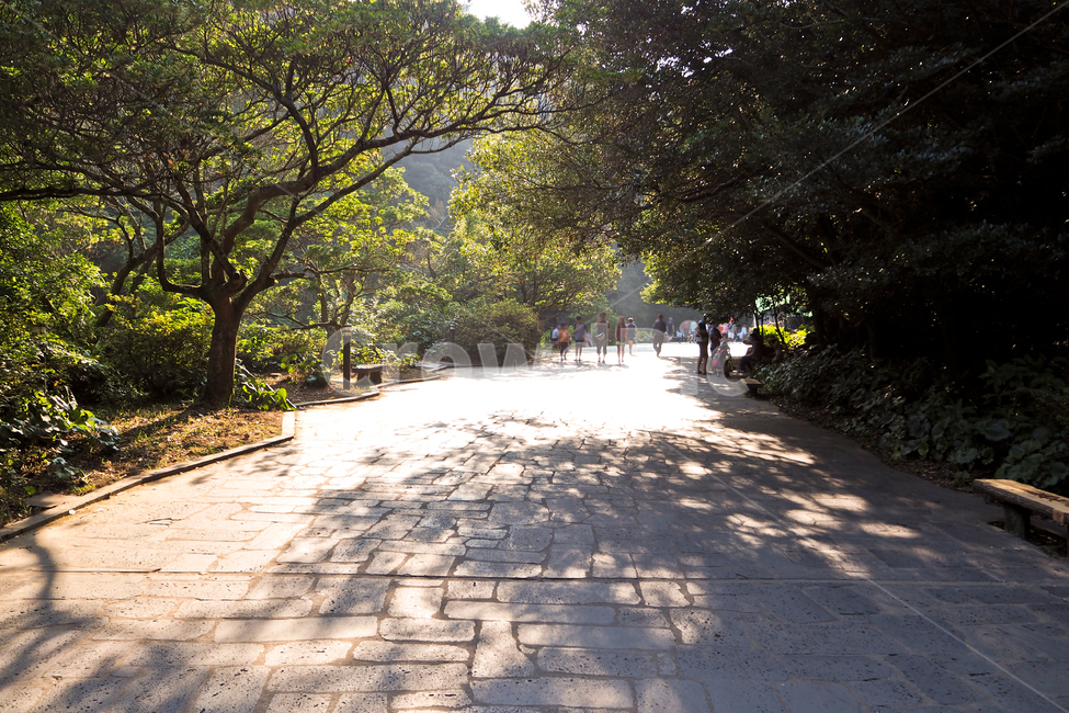 제주도,자연,풍경,jejuisland,jeju,nature,landscape,산책길,나무,오후햇살,그림자,따뜻함,walkway,park,trees,sunshineinafternoon,shadows,warm,자연,풍경,nature,landscape,사람들,대중,군중,other people,crowd,path,통로,보도,flagstone,판석,pavement,포장,sidewalk