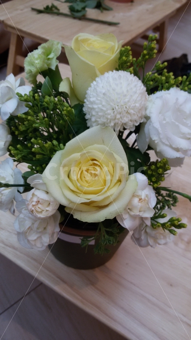 꽃,장미,화분,자연,플라워,꽃꽂이,식물,자연,plants,nature,꽃,flower,실내용화초,화분,화초,house plant,인테리어,실내디자인,interior design