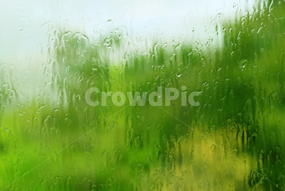 감성,봄비,유리창,빛물,흐르다,물방울,자욱,초록색,배경,봄비내리는날,비,rain,rainyday,foggy,레인,우울함,쓸쓸한,고요한,적막,눈물,생각,심상적,마음,추억,회상,바라보다,우요일,맺히다,방울방울,창너머,아련한,비,비오는날,rain,rainy