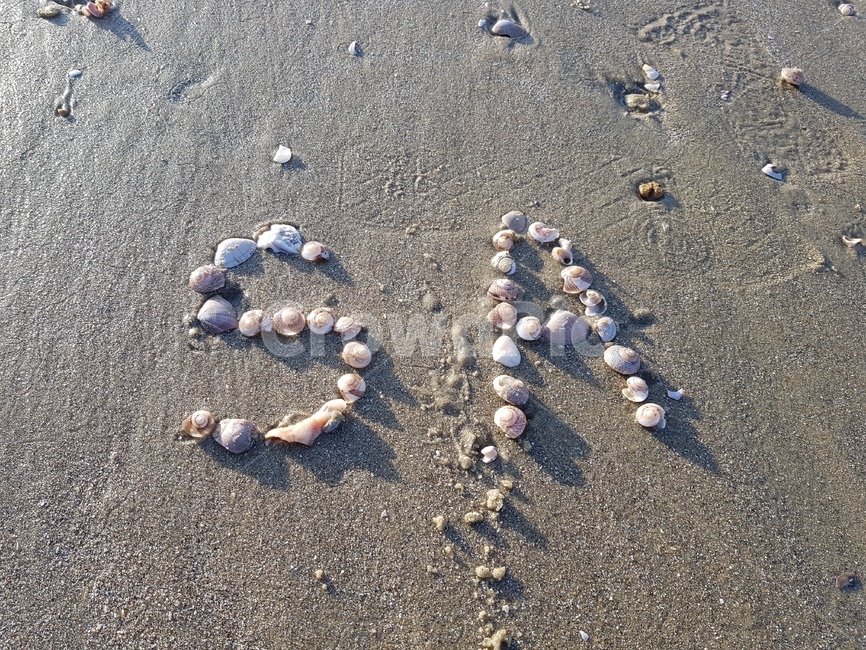 s,a,sa,바다조약돌,해변,돌,이니셜,해변,바다,beach,sea