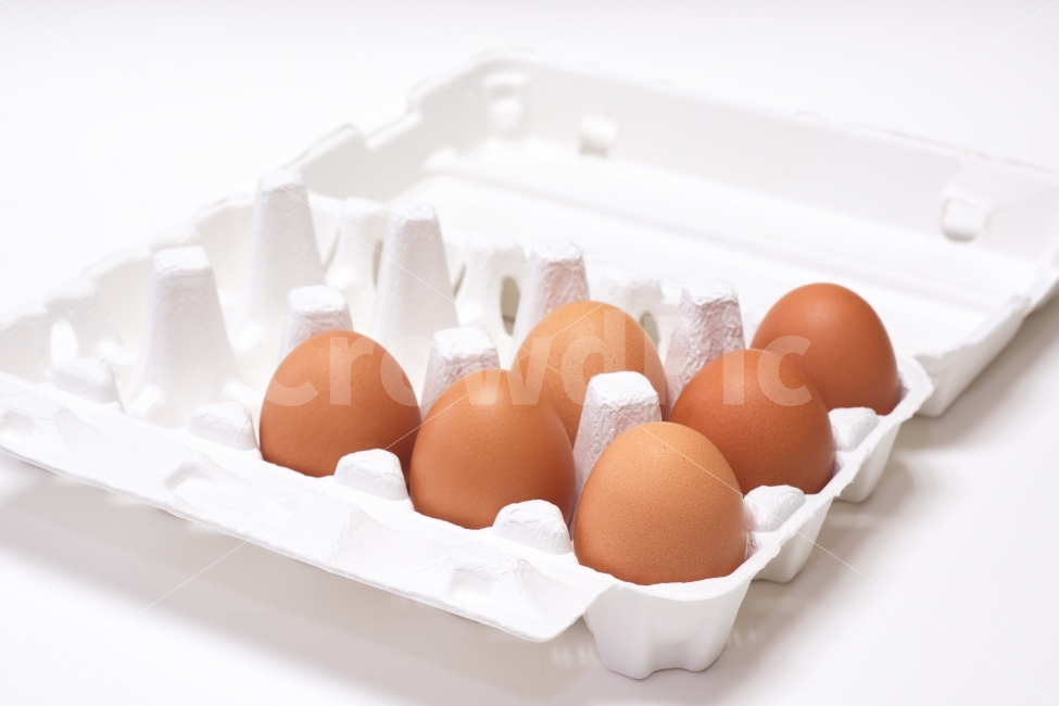계란,달걀,음식,식재료,먹다,계란판,비어있는,식료품,egg,단백질,담겨있는,신선,재료,오브젝트,요리,한판,계란한판,음식,식재료,요리,food,cook,meal,dishes,food reserves