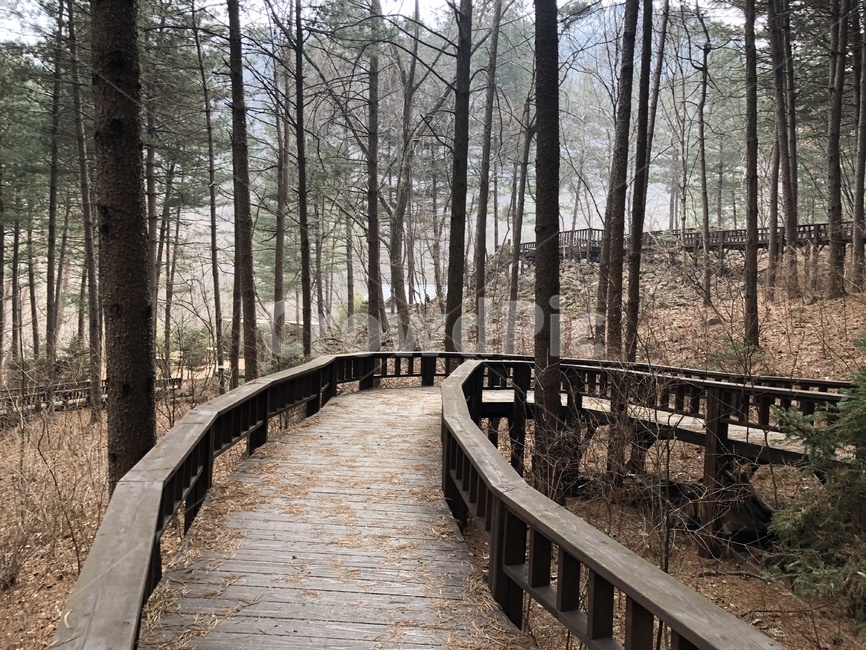 다리,산책로,bridge,boardwalk,building,건물,path,통로,자연,풍경,nature,landscape,나무,trees,wood