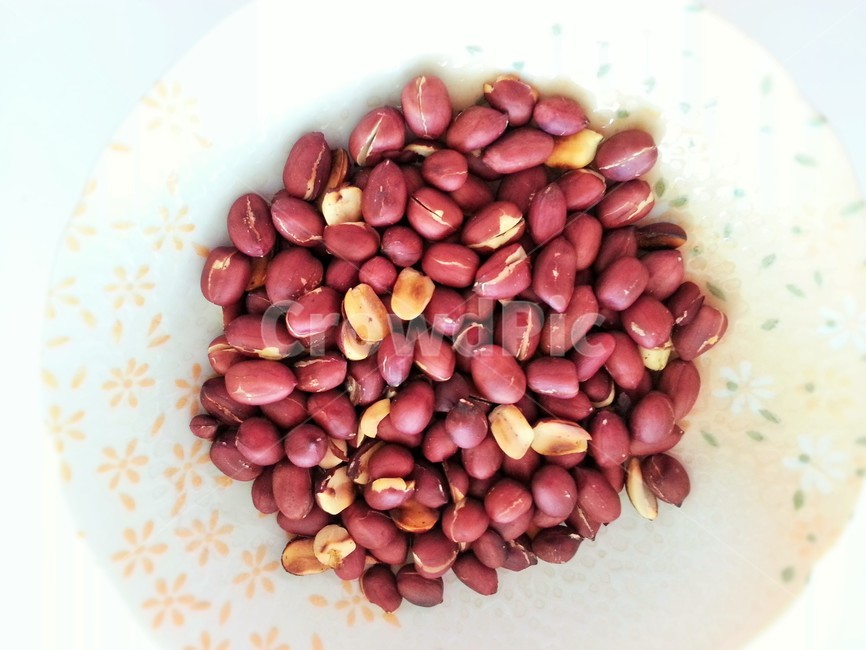 식물,땅콩,peanut,너트,땅콩효능,음식,식재료,요리,food,cook,meal,dishes,food reserves,콩류,견과류,beans,pulse,nuts,dry fruits