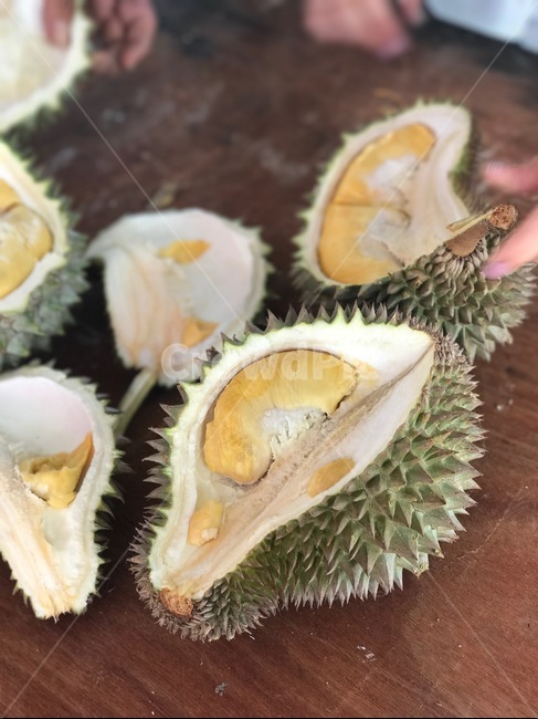과일,두리안,초록,테이블,durian,여행사진,말레이시아,동남아시아,음식,식재료,요리,food,cook,meal,dishes,food reserves,과일,열매,fruit