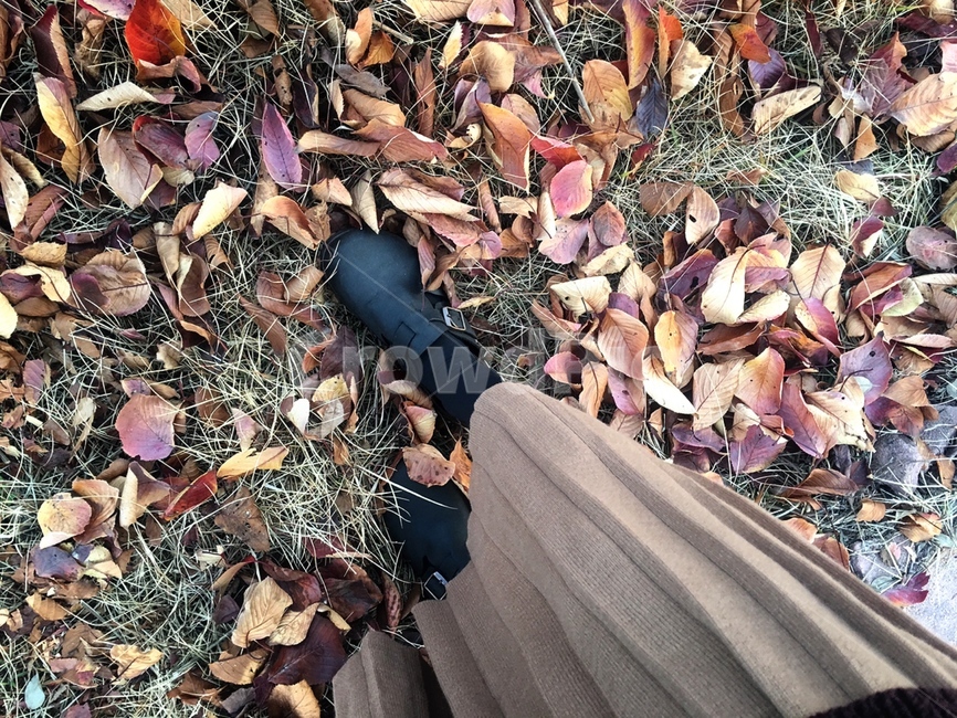 발샷,낙엽,감성,가을감성,가을,떨어진낙엽,감성사진,fallenleaves,배경,autumn,fall
