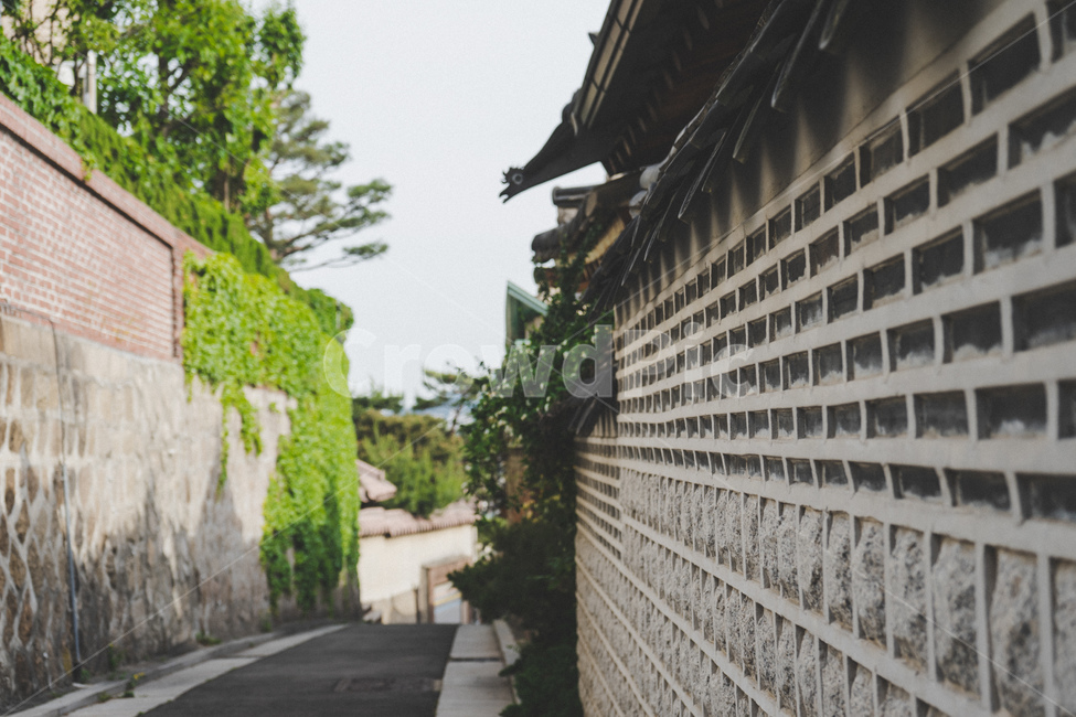 한옥,전통,빈티지,감성,나무,traditional,vintage,tree,old,korea,한국