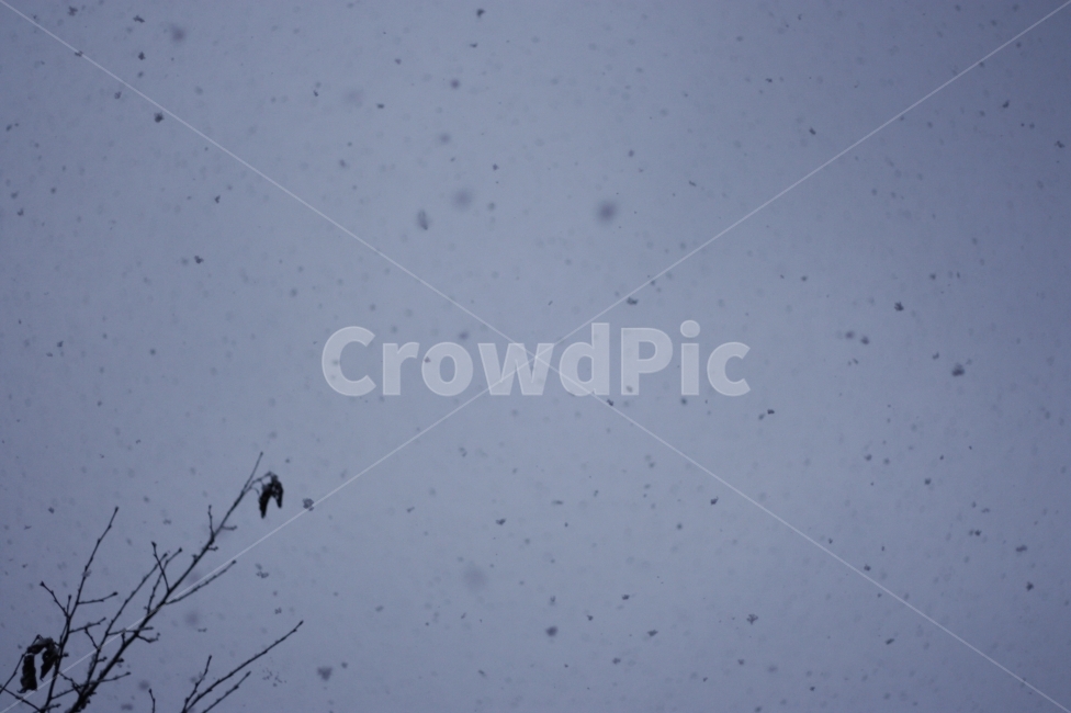 눈,겨울,winter,snow,풍경,겨울풍경,겨울,계절,winter,season