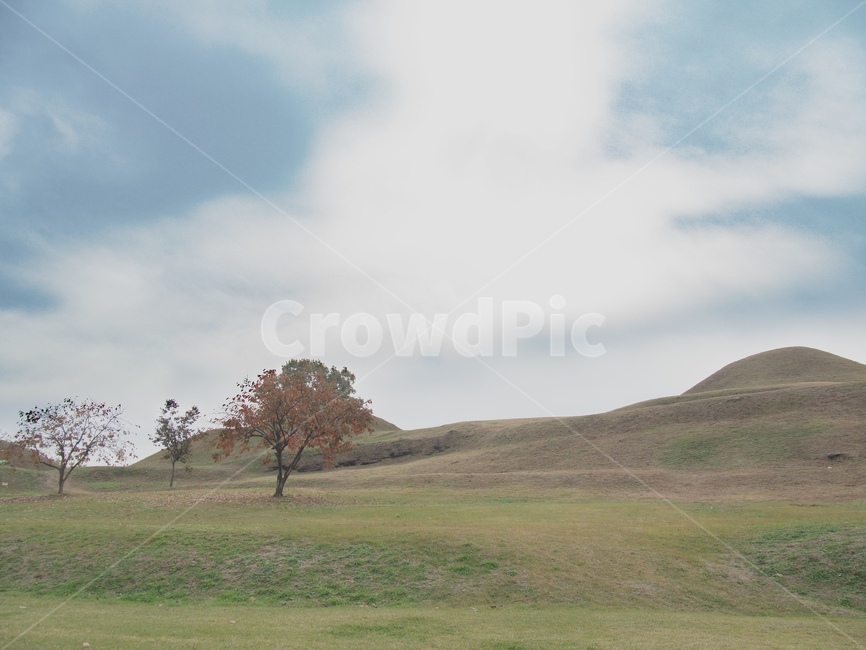 야외,풍경,자연,가을,하늘,mound,들,field,outdoors,옥외,grassland,자연,풍경,nature,landscape