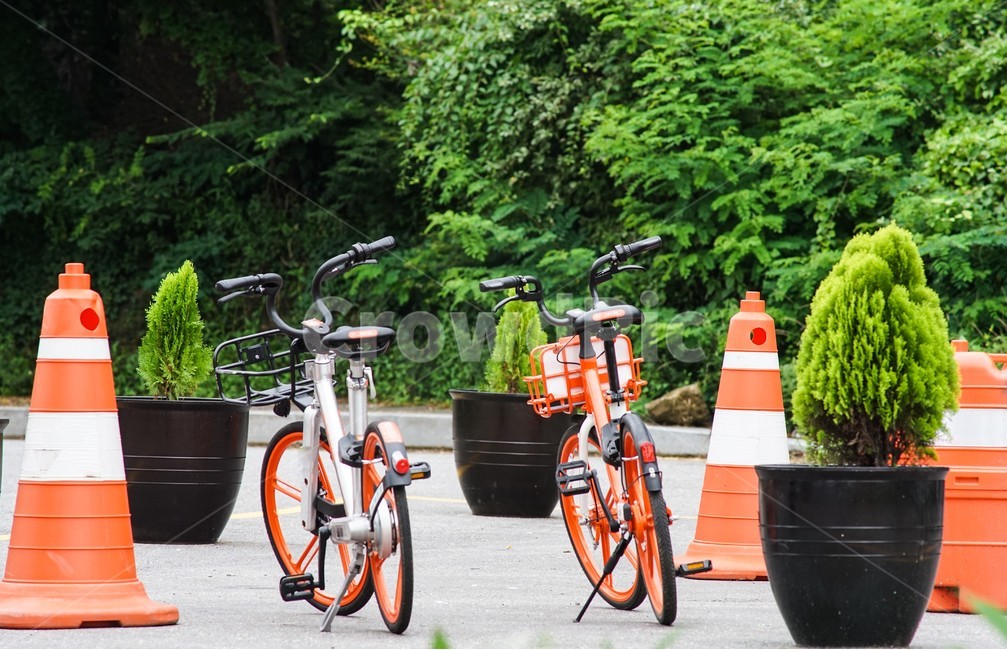 자전거,화분,자전차,바이시클,라이딩,교통,교통수단,traffic,transportation
