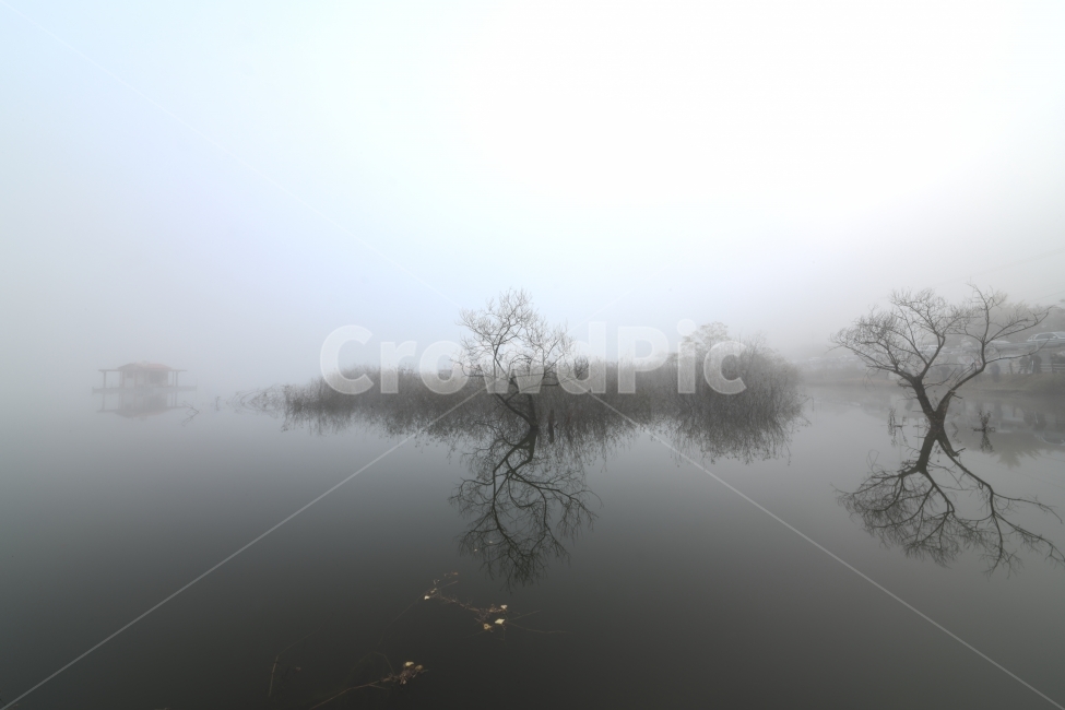 물안개,저수지,반영,풍경,몽환,자연,풍경,nature,landscape,한국자연풍경,한국자연경관,korea nature landscape,weather,날씨,outdoors,옥외