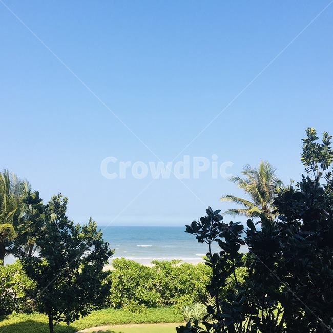 바다,자연,풍경,감성사진,하늘,감성,outdoors,grass,잔디,식물,sky,nature,green,초록,beach,나무,tree