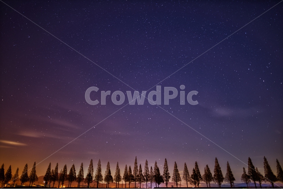 풍경,야경,별,은하수,가로수,자연,풍경,nature,landscape,야경,밤,nightscape,night,outdoors,옥외,universe,우주,astronomy,천문학,outer space,대기권 밖,starry sky,별이 빛나는 하늘,space