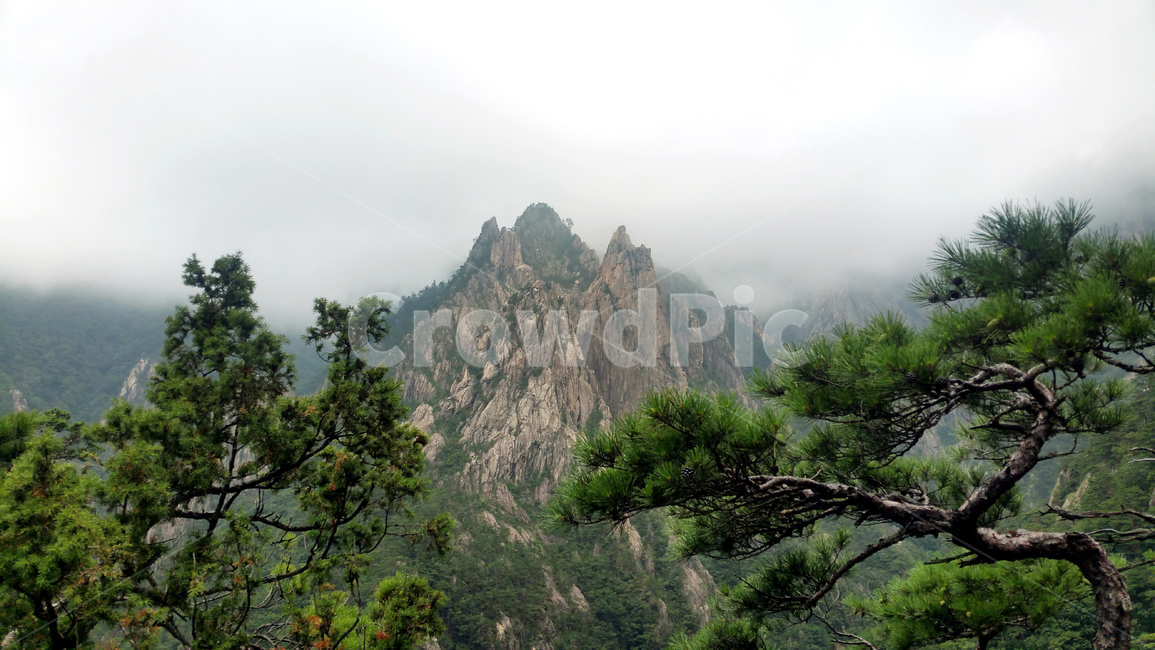 산,정상,자연,힐링,절경,속초,경치,편안함,명산,소나무