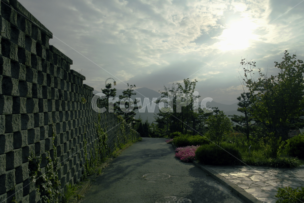 햇빛,길,돌담,산책,나무,자연,풍경,nature,landscape