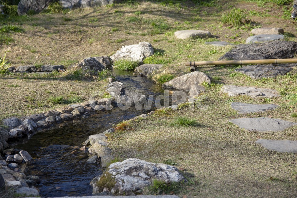 ground,바닥,개울,연못,water