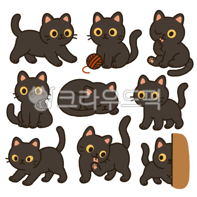 Cat,black cat,thread,cat character,cat illustration,cat paw,grooming,Korean short hair,animal,mammal,pet,pet cat,animal,cat,blackcat,domestic cat,stray cat,kitty