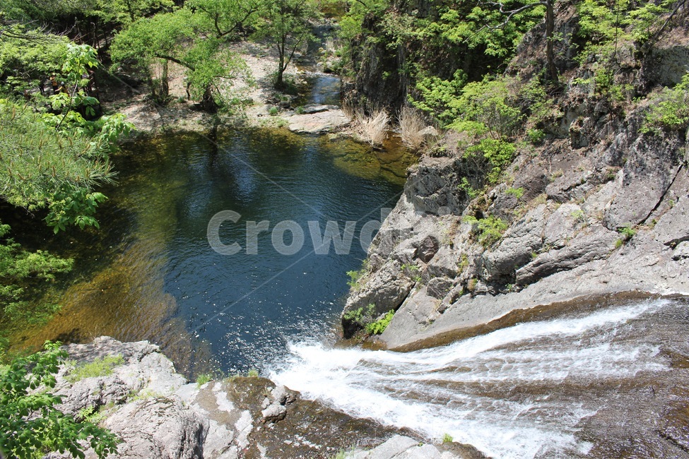 폭포,계곡,여름,시원한,waterfalls,summer,fresh,cold,water,물,나무,자연,nature,주왕산폭포,주왕산,웅덩이,자연,풍경,nature,landscape,한국자연풍경,한국자연경관,korea nature landscape,outdoors,옥외