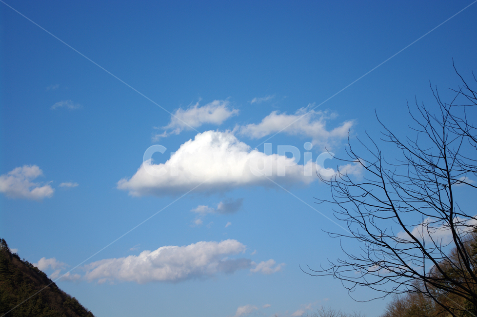 하늘,구름,겨울,나무,풍경,자연,풍경,nature,landscape,outdoors,옥외,weather,날씨