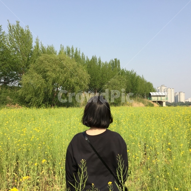 자연,인간,human,person,사람,유채꽃